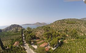 Xenicamp & Bungalows